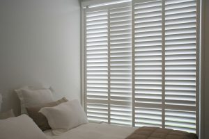 Shutters Basswood