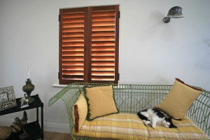 Shutters Cedar